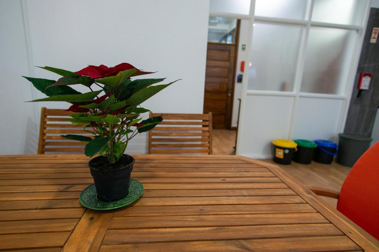 Change The World Hostels - Porto - Santa Catarina, Porto